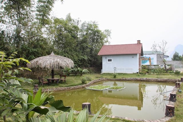 Cầm nhà trên đất nông nghiệp
