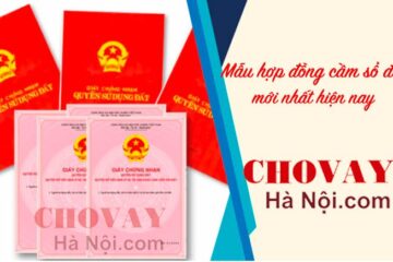 Mẫu hợp đồng cầm sổ đỏ chuẩn mới nhất 2023